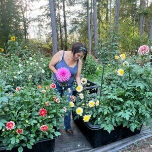 Meet your Posher, Mary